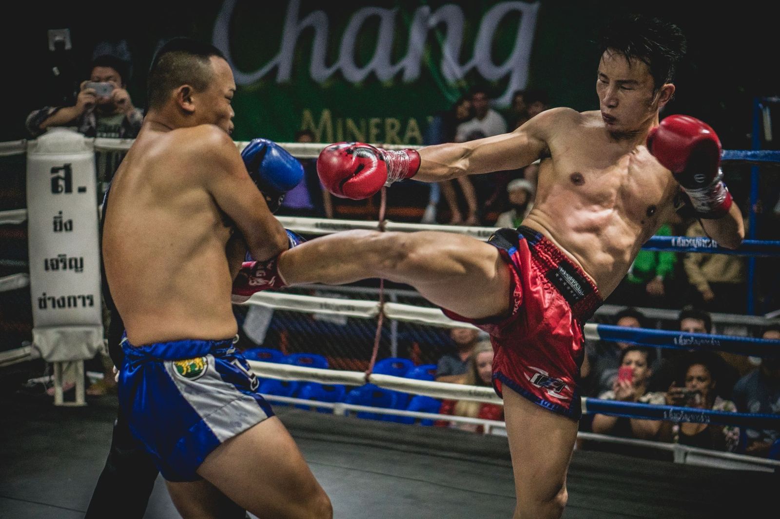 İstanbul Açık Kick Boks Kupası